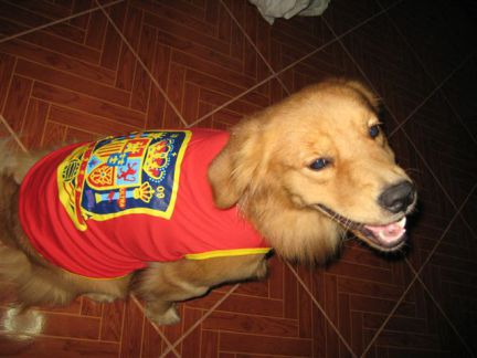 Foto del mensaje
