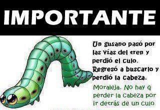 Foto del mensaje